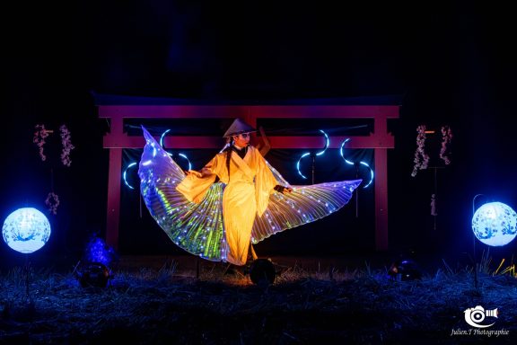 Spectacle lumineux, spectacle LED Grand Est